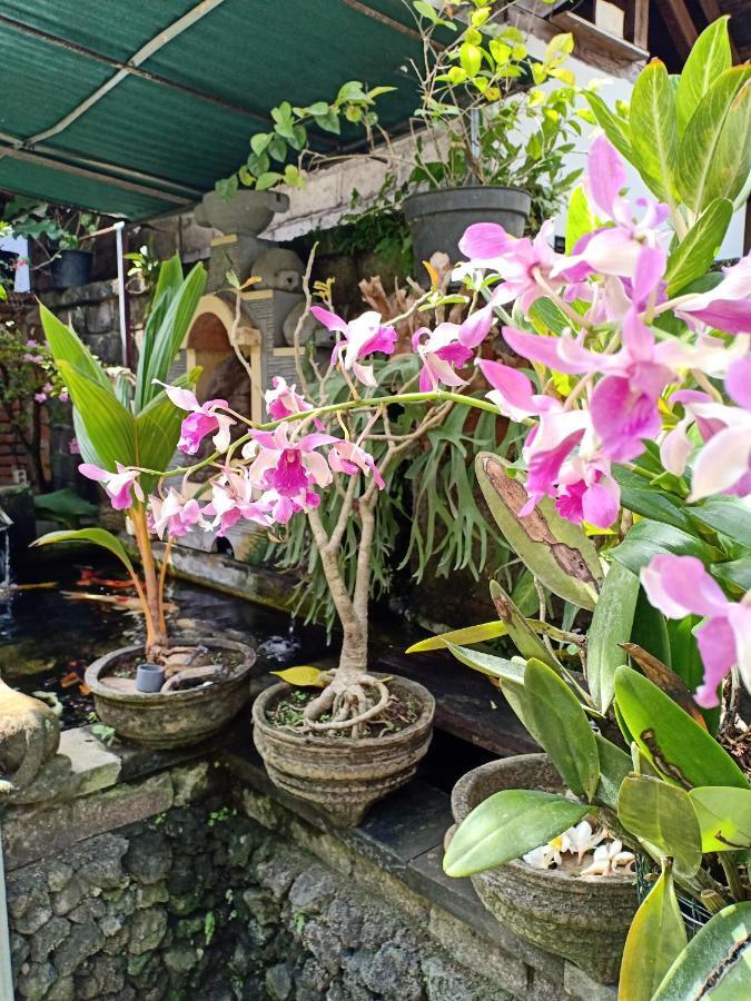 Degeg Ubud Homestay Exterior photo